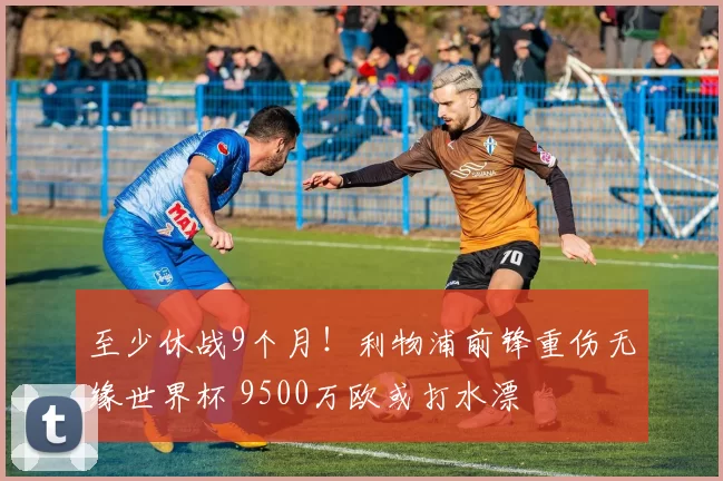 至少休战9个月！利物浦前锋重伤无缘世界杯 9500万欧或打水漂