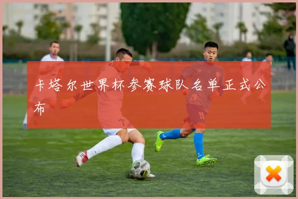 卡塔尔世界杯参赛球队名单正式公布