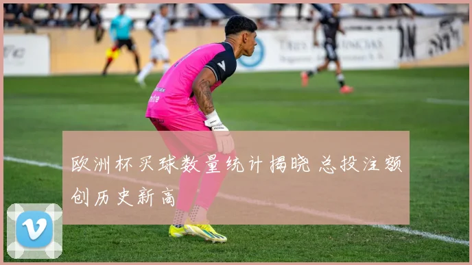 欧洲杯买球数量统计揭晓 总投注额创历史新高