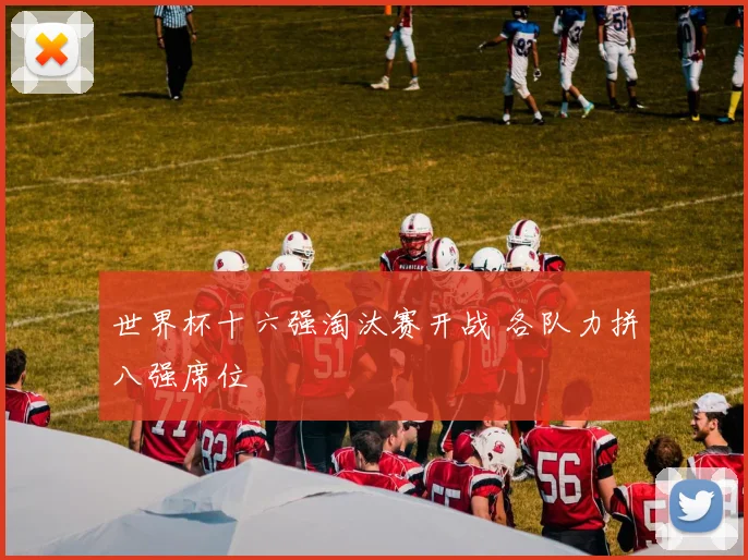 世界杯十六强淘汰赛开战 各队力拼八强席位