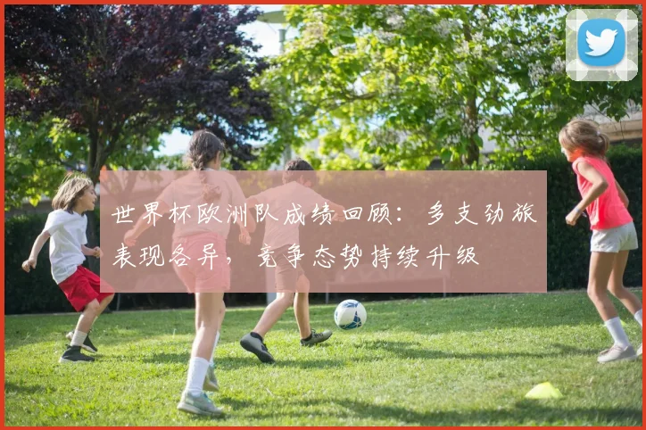 世界杯欧洲队成绩回顾:多支劲旅表现各异,竞争态势持续升级