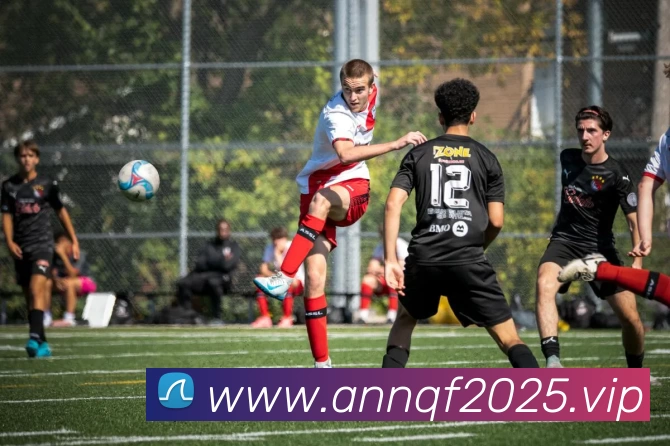 开云(中国)Kaiyun·官方网站 - 科技股份有限公司服务体系