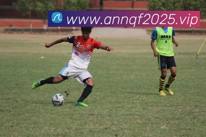 App Interface Preview