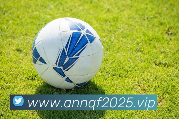 开云(中国)Kaiyun·官方网站 - 科技股份有限公司APP 体育赛事宣传图